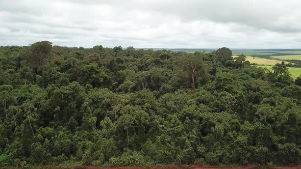 Aerial image reveals the Amazon rainforest to the soybean plantation.