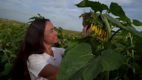 Portrait of an Adult Dark-haired Woman Smiling, Sniffing and Stroking a Sunflower in Nature in a