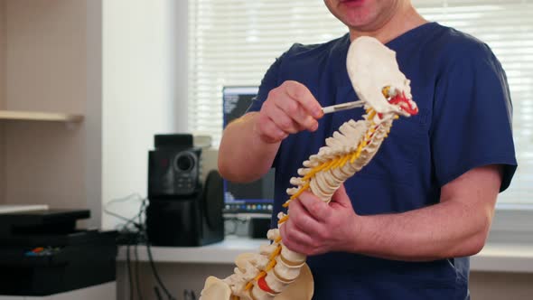 Doctor Showing the Problems on the Spine Sample