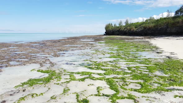 Aerial View of Low Tide in the Ocean Near the Coast of Zanzibar Tanzania