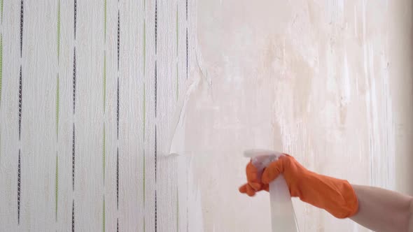 Woman Removing Old Wallpaper From Walls Preparing for Flat Renovation