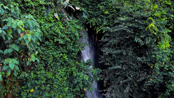 Small Waterfall in Deep Jungles of Bali Indonesia