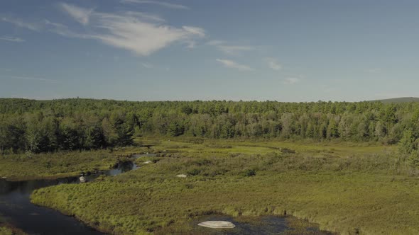 Union River meandering towards dense forestry sunshine lush green Aerial view