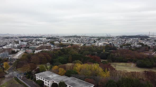 Skyline Aerial view in Yokohama