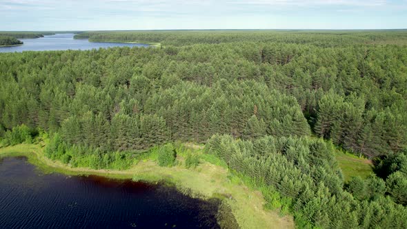 Flight over the taiga forest lake