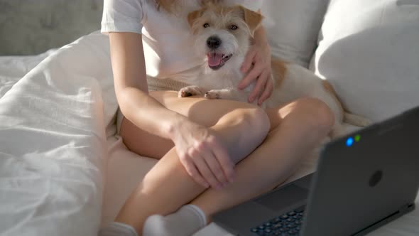 A beautiful girl in casual clothes uses a laptop on the bed