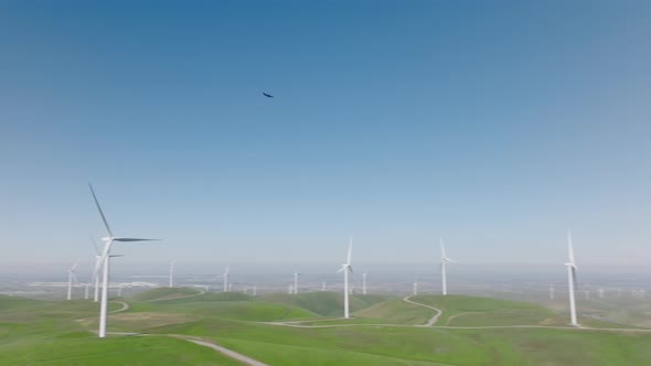 Camera Following Fast Flying Black Bird Above Windmills Generating Green Energy