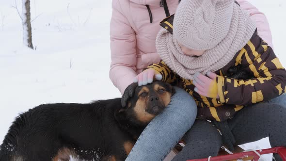 Family with Dog in Winter Park