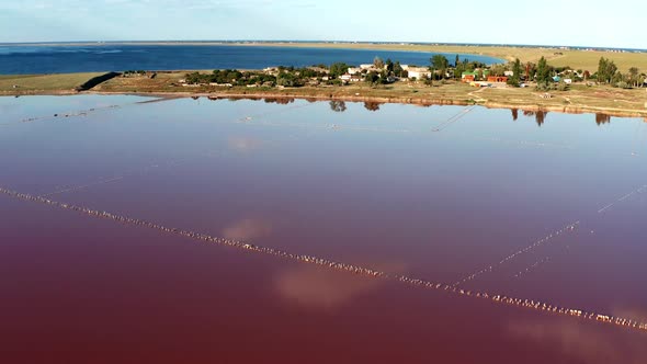 Beautiful top view of the salty, pink lake. Beautiful pink sunset.