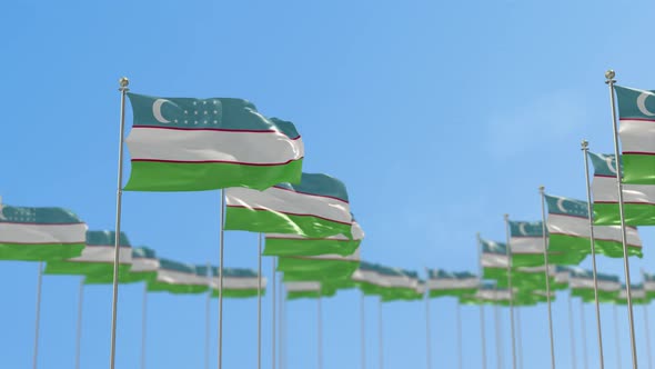 Uzbekistan Row Of Flags Animation