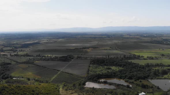 Vineyards Landscape on the Hill From Top with Drone, The Camera Flies High Above the Vineyards