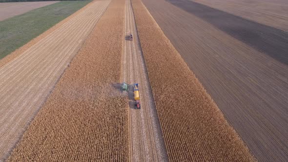 Corn Harvesting Aerial Shot