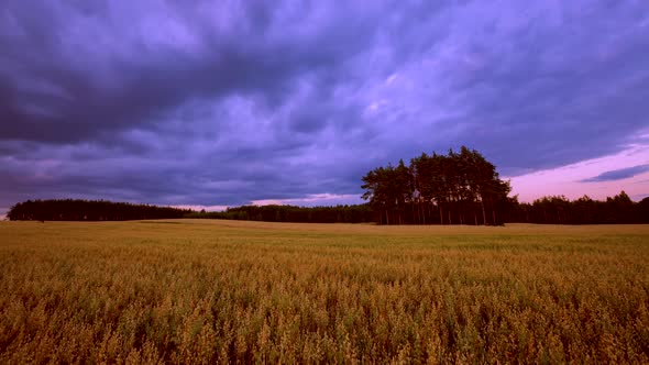 Time Lapse with Cereal Field Under Fast Moving Clouds