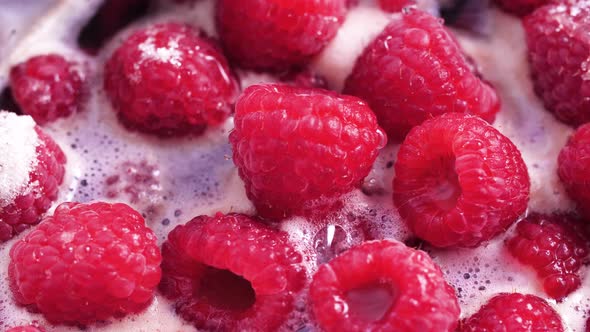 Raspberries Boiling Time Lapse