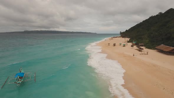 Tropical Sand Beach with Palm Trees