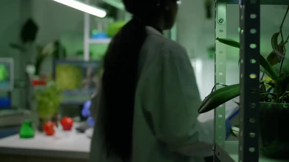 Slide View of Chemist Researcher Analyzing Gmo Green Leaf Under Medical Microscope