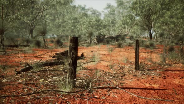 Dingoe Fence in the Australian Outback