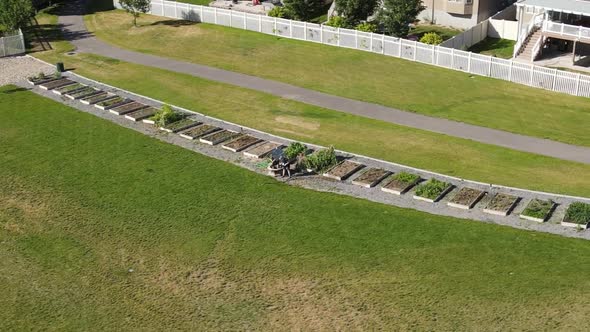 A woman puts the water hose away after watering her garden boxes - orbiting aerial view parallax her