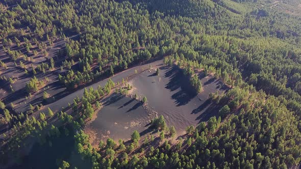 Aerial View of Pine Forest in Volcanic Landscape in Tenerife Canary Islands Spain