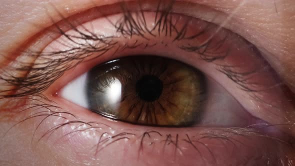 Macro Shot of a Woman's Eye