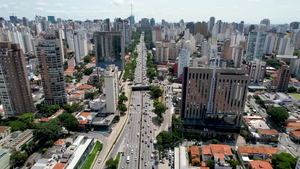 Downtown of Sao Paulo Brazil. Stunning landscape of Ibirapuera park.