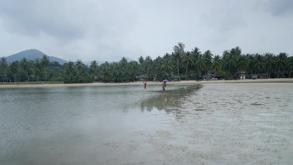 Two Locals Searching For Clams During Low Tide With View Of Vast Coconut Palm Plantation And