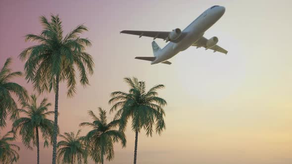 Airplane flying over palm trees. Holiday flight under sunset light.Vacation departure.