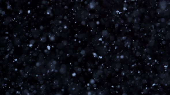 Falling natural snowflakes isolated on a black background, a lot of falling chaotic snow.