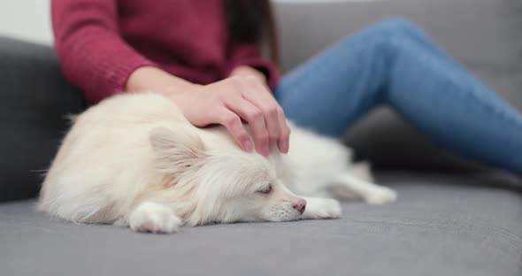 Pet owner massaging on her dog