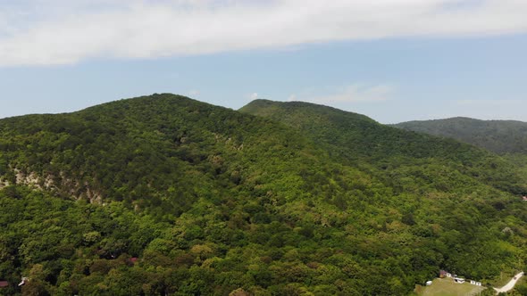 Aerial top view of summer green trees in forest background, Caucasus, Russia.