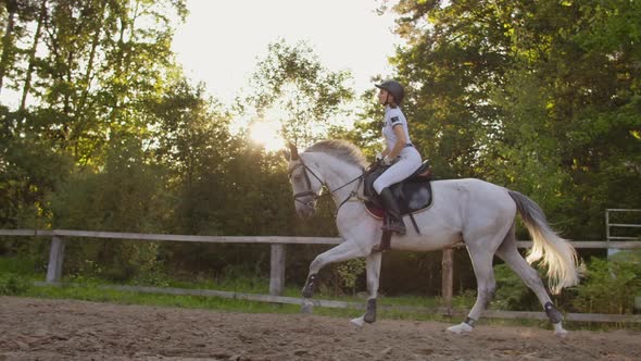 Side View, Gallop Riding Style