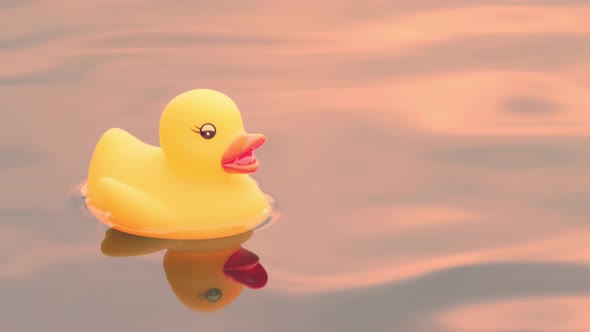 Rubber Duck on Lake Water