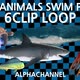 Sea Animals Swim pack 6Clip - VideoHive Item for Sale