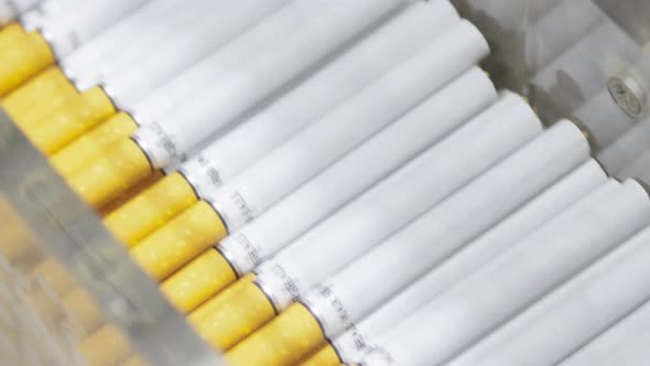 View of Cigarettes on the Conveyor