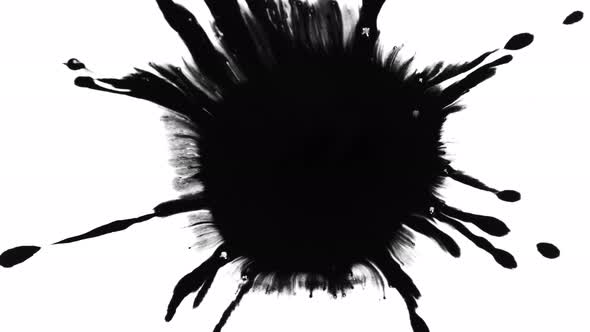 Super Slow Motion Shot of Black Ink Drop Isolated on White Background at 1000 Fps