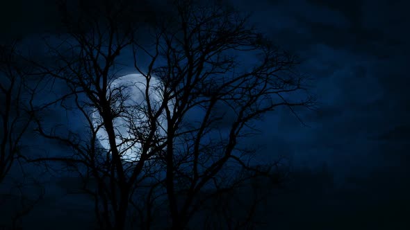 Spooky Moon Moving Fast Behind The Trees