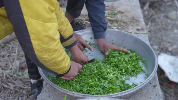 Indians Cutting Green Vegetable with Knife