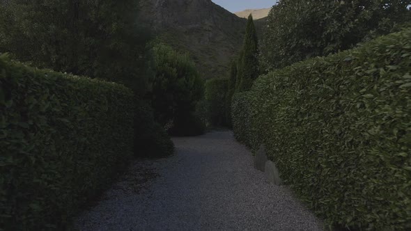 Walking through beutiful shaped trees. Slow motion. Filmed on gimbal.