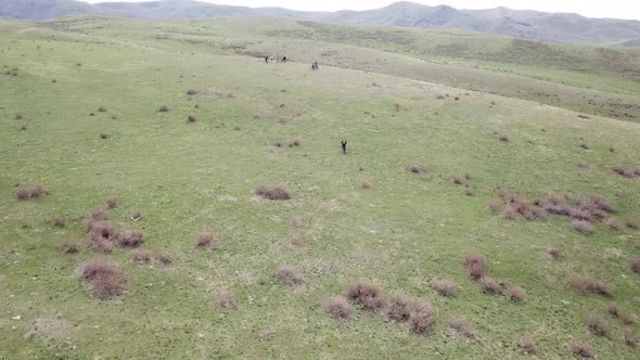 A Group of Cyclists Ride on the Green Steppe