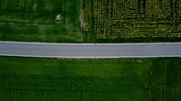 Blue cars is passing by a small house in the country side