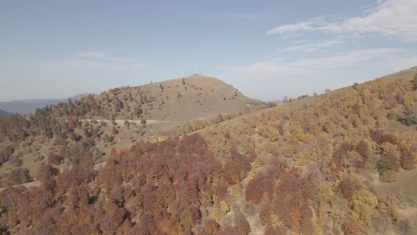 Flying over beautiful mountains in Bakuriani. Aerial view of Autumnal forest. Georgia