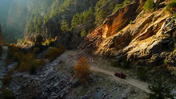 Autumn Road