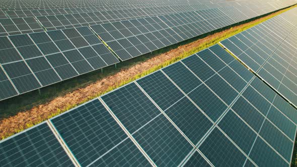 Aerial View Solar Power Station on Green Field at Sunset Solar Panels in Row