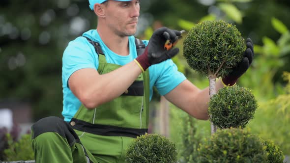 Gardener in His 30s Trimming His Backyard Garden Trees