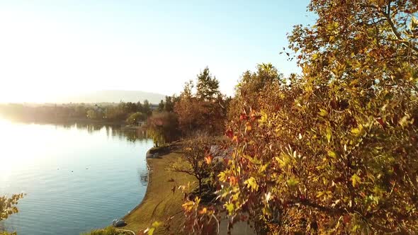 Harveston Lake