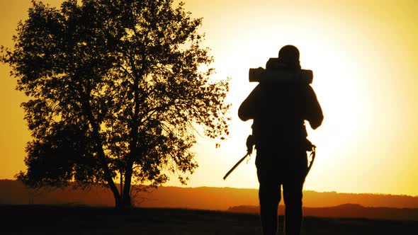 Silhouette Hiker with Backpack Walking Against the Background of a Large Tree at Sunset