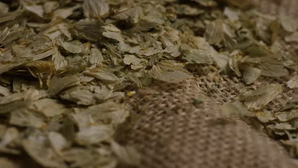 Rotating shot of barley and other beer brewing ingredients - BEER BREWING