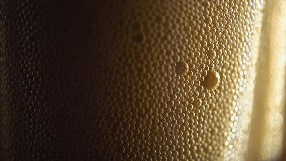 beer . beer foam. beer bubbles. light beer