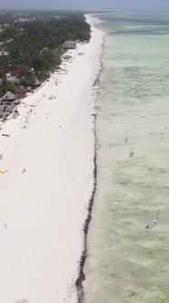 Vertical Video of the Beach on Zanzibar Island Tanzania