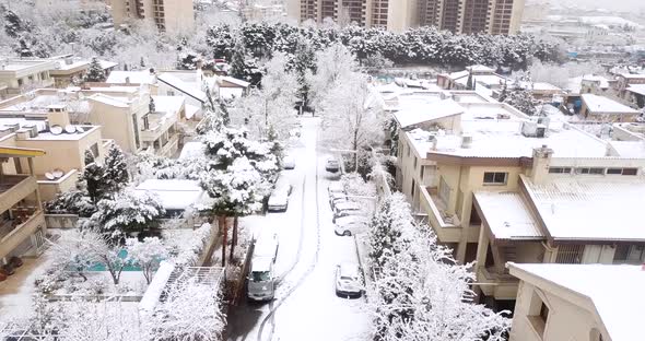 Heavy Snow in Iran Tehran trees covered by white snow, streets houses cars and in yard pools covered